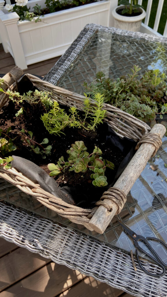 Using Baskets as Planters - The Creek Line House