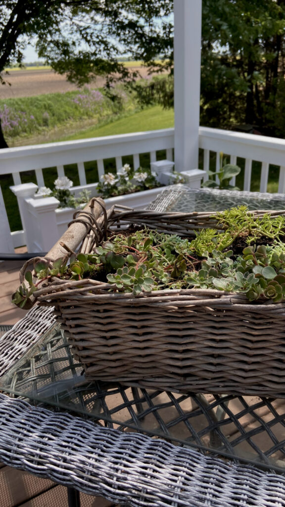 Using Baskets as Planters - The Creek Line House