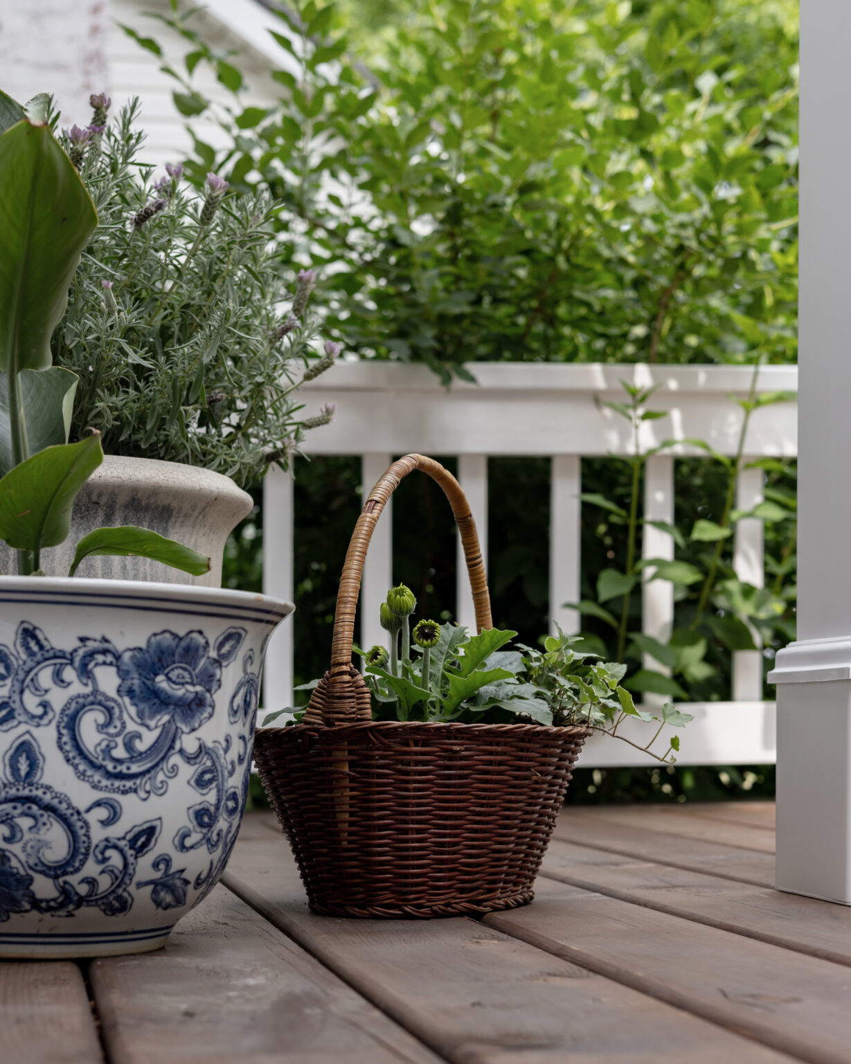 Using Baskets as Planters - The Creek Line House
