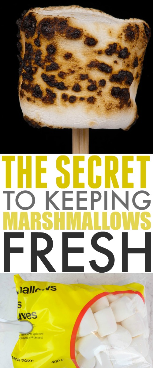 How to keep marshmallows fresh so you're always ready for your next campfire! This is such a simple and effective way to keep marshmallows from going stale. 
