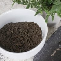 How to Test Soil pH Levels