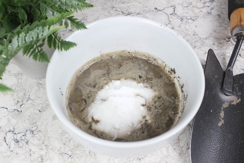 Baking soda has endless uses inside your home but did you know it's just as amazing and versatile outside.  Check out these clever uses for baking soda in the garden!