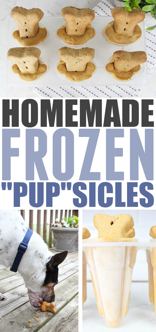 Try this recipe for homemade dog popsicles (AKA "pupsicles") the next time you want to give your dog something to help him cool down.