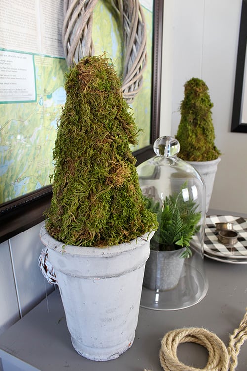 Topiaries are a classic of farmhouse style home decor and work beautifully for any season. Here's how to make your own farmhouse style DIY moss topiaries!