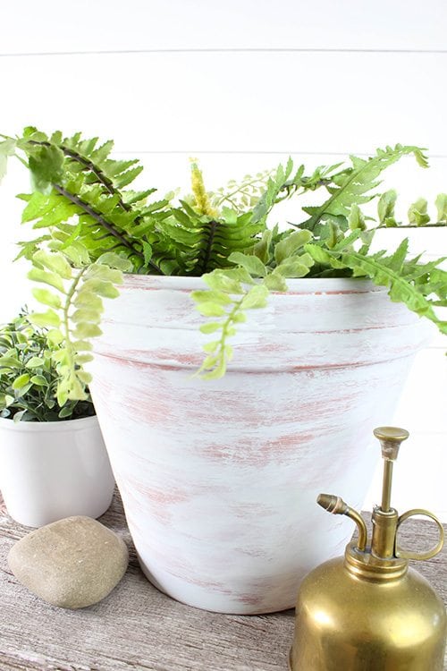 How to Age Terra Cotta Pots