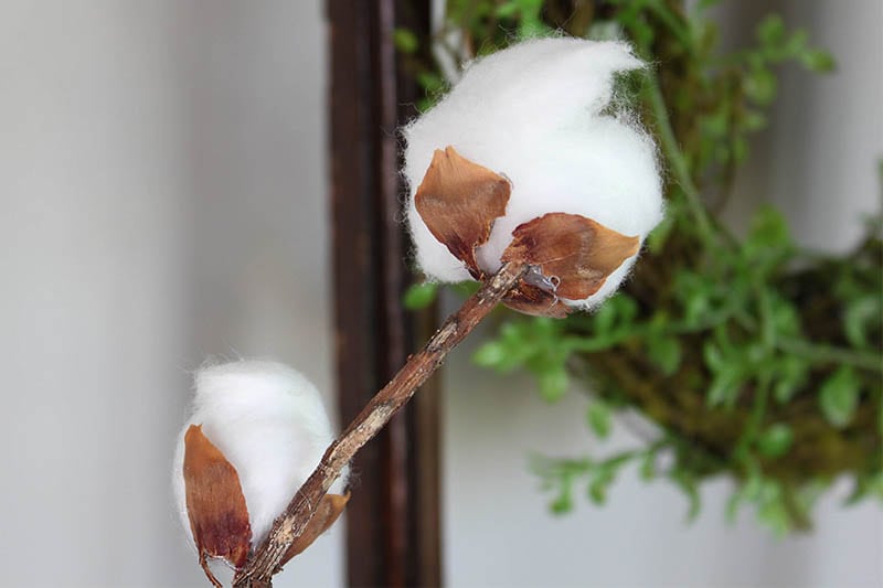 This DIY cotton wreath made with cotton balls is a great project that allows you to make a classic fall wreath for a tiny fraction of the cost of buying one pre-made.