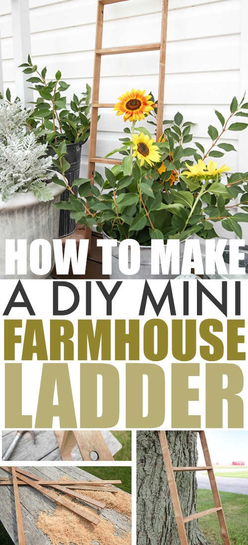 This mini DIY farmhouse ladder is the perfect thing to bring a little farmhouse style to any area of your home or your porch. A great DIY project for fall decorating!