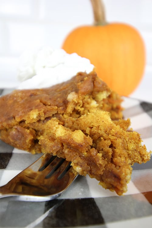 This slow cooker pumpkin dump cake will become an instant classic with your family. It doesn't look pretty, but it's the perfect comfort food for a chilly fall evening at home!