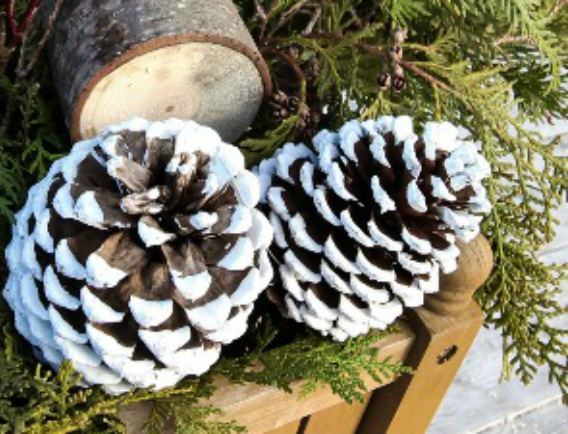 DIY Pine Cone Christmas Urns