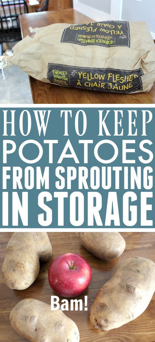 Keep potatoes from sprouting so quickly with this easy trick! You'll be amazed at how well this easy tip works! Yay for science!