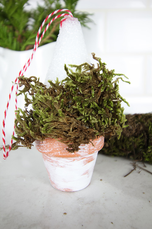 DIY Christmas Ornament: Step 4 - add the moss
