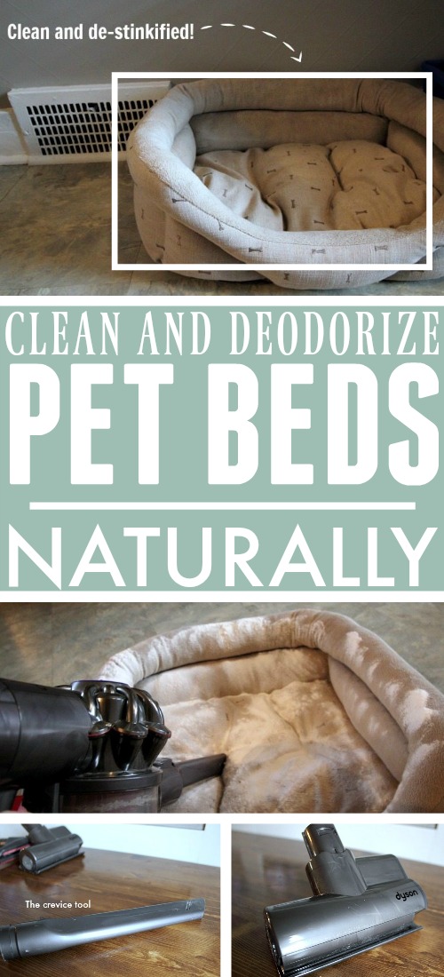 Here's a quick, easy way to clean pet beds naturally that the whole family will love.