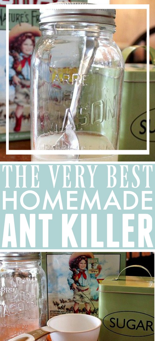The very best DIY natural ant killer recipe that you can make with ingredients you already have at home! This stuff really works!