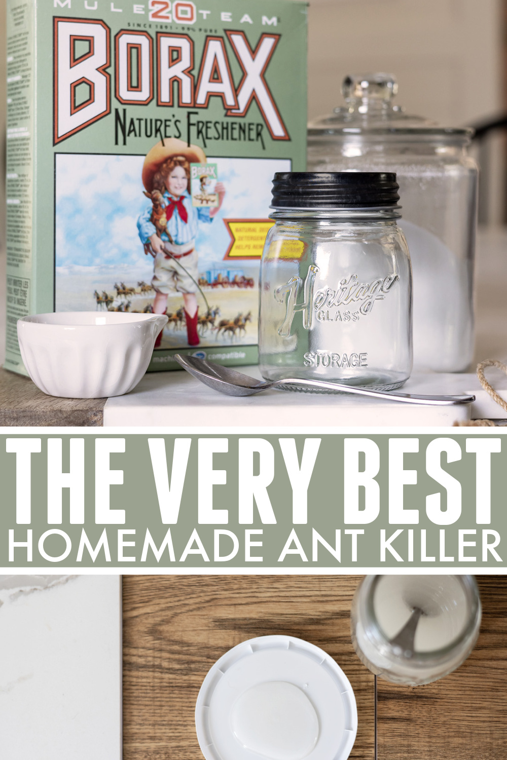 Homemade ant killer main pinterest image