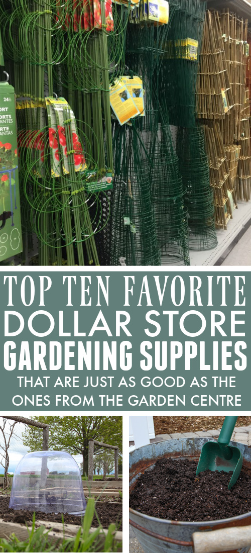 Instead of heading straight to the garden centre to stock up on what you need to grow your favourite flowers and veggies, check out these dollar store gardening supplies that are just as good as the more expensive ones!