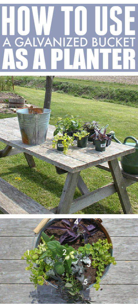 Using Galvanized Containers as Planters - The Creek Line House