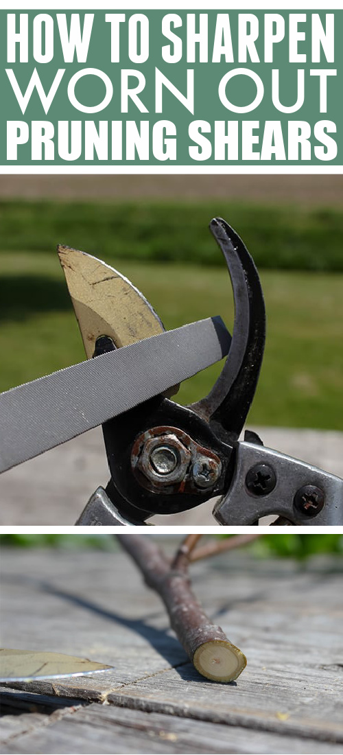 Sharpening worn out hedge clippers, secateurs, and garden pruners.