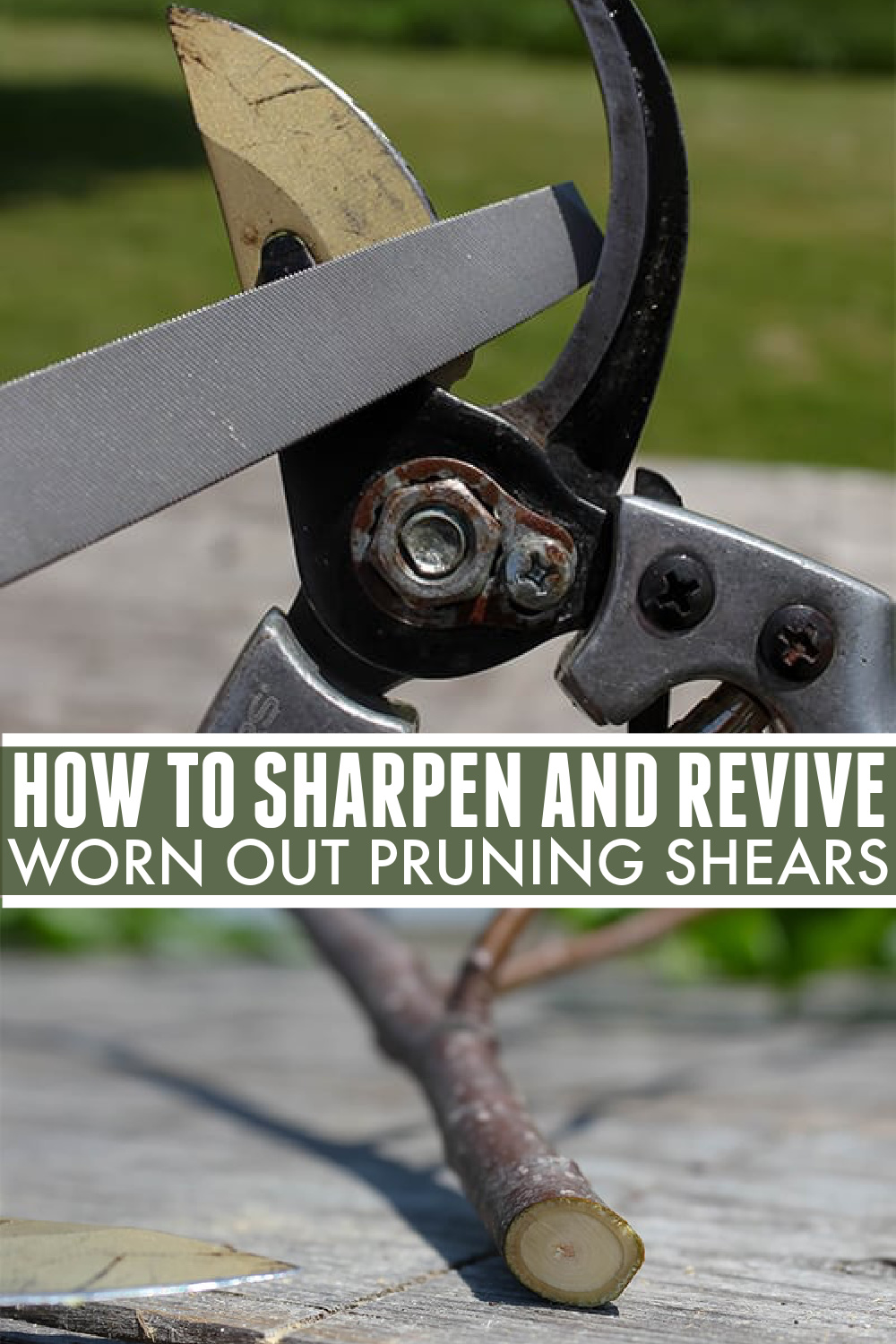 Sharpening pruning shears at home.