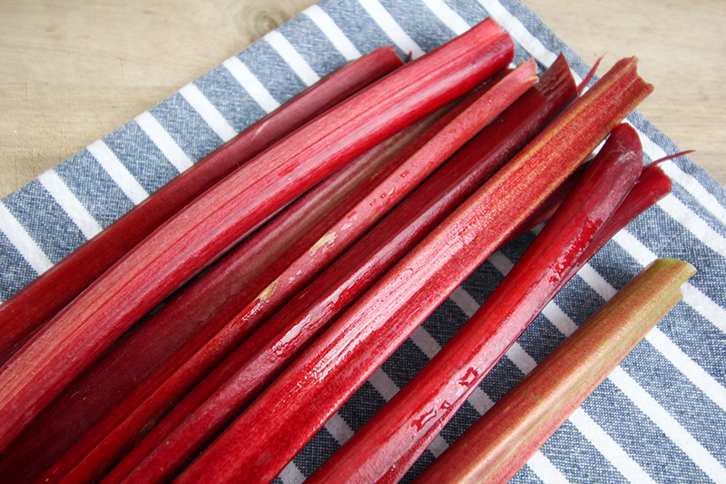 If you have an abundance of rhubarb in your garden, but don't think you'll manage to use it all up during the rhubarb season, make sure you don't let it go to waste! Here's how to freeze rhubarb.