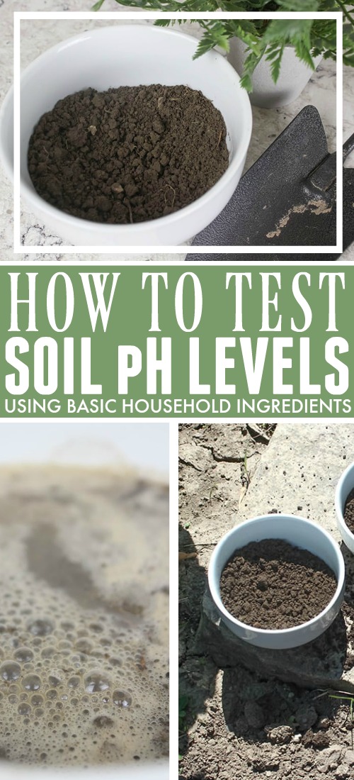 Try this fun method to test soil pH levels in your garden! It can be done in a few minutes at home and requires no special equipment at all.