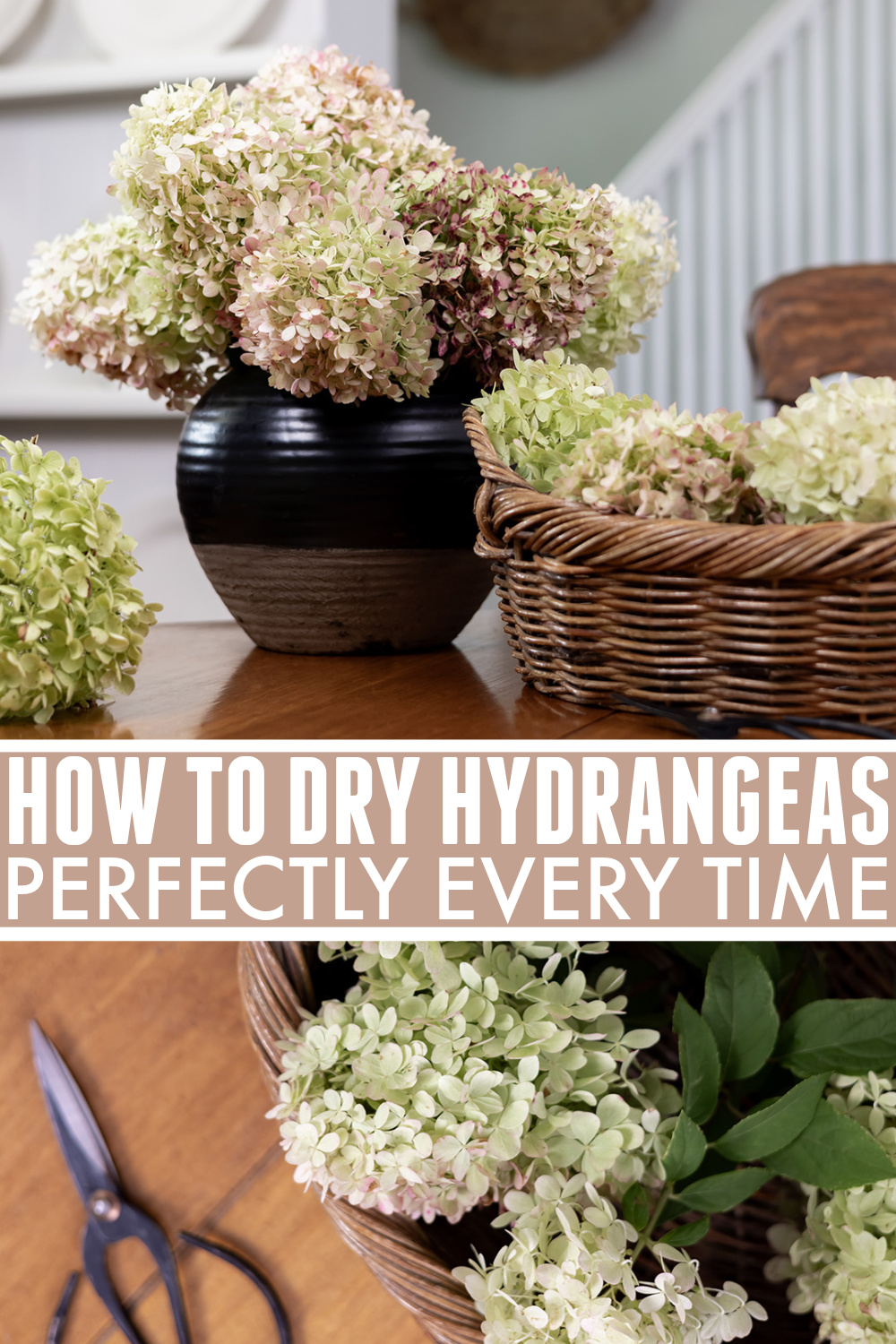Main Pinterest Image for hydrangea drying instructions
