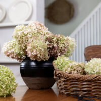 How to Dry Hydrangeas Perfectly Every Time