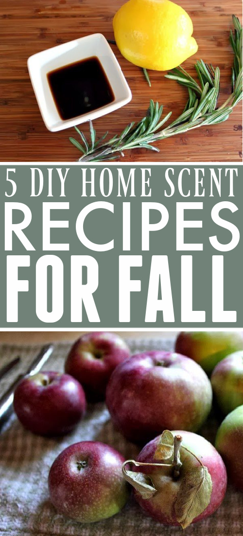 Keep your home smelling delicious and autumn-fresh without using any harsh chemicals. These are my favourite all-natural, DIY Home Scent Recipes for fall.