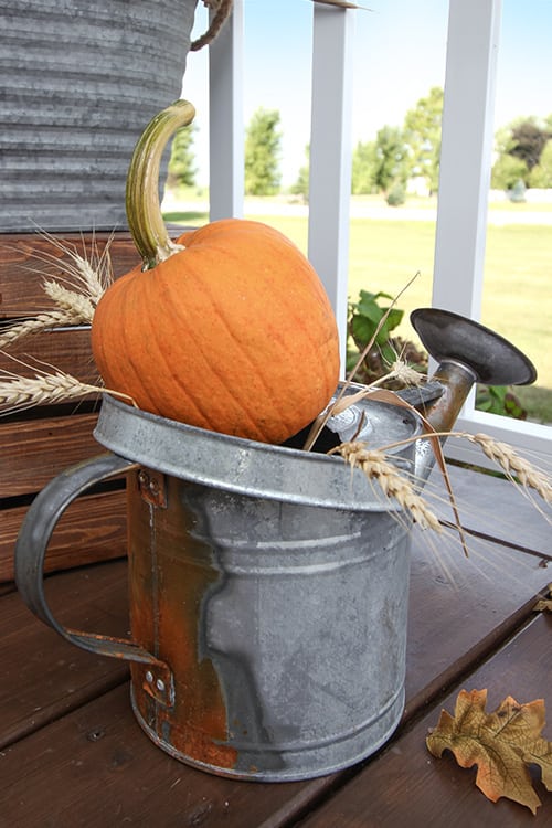 a bright orange pumpkin sits atop a rustic galvanized metal watering can