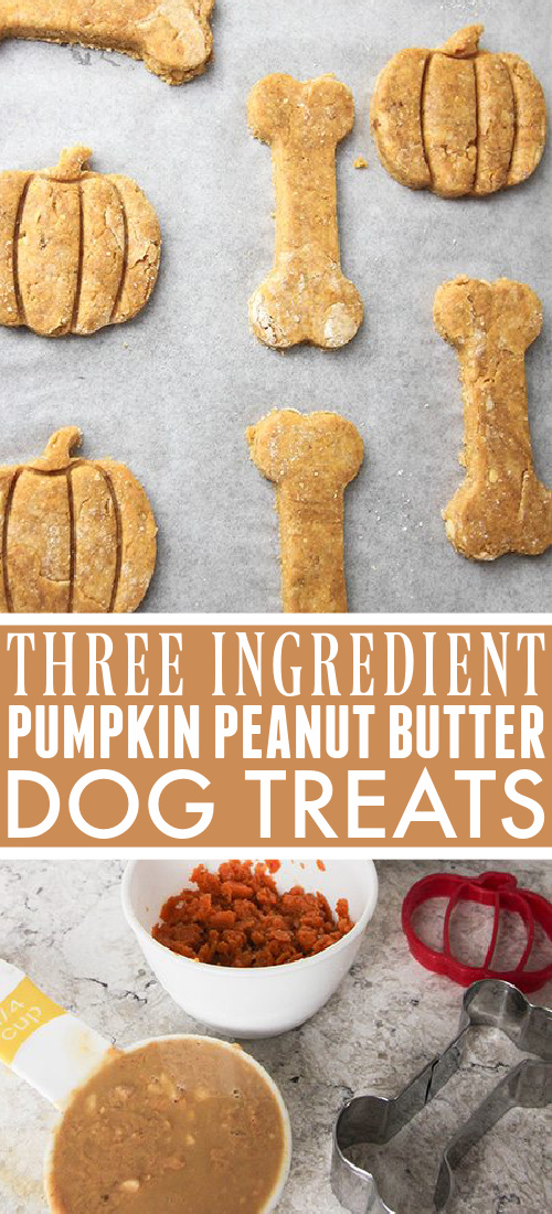 These pumpkin peanut butter, 3 ingredient dog treats are a fun, healthy way to show your furry friends how much you care! Make your own quickly and easily.