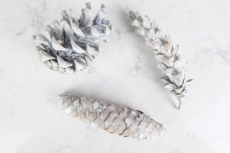 Do you love the modern farmhouse look of those pale pinecones we've all been seeing in Christmas decor lately? In today's post I'll show you how to create bleached pinecones with no bleach!