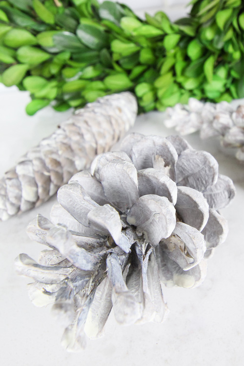 Do you love the modern farmhouse look of those pale pinecones we've all been seeing in Christmas decor lately? In today's post I'll show you how to create bleached pinecones with no bleach!