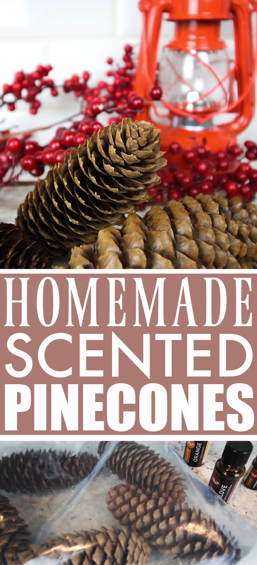 These DIY scented pinecones are a great, festive way to freshen your air during the colder months. They make a fun little gift idea too!