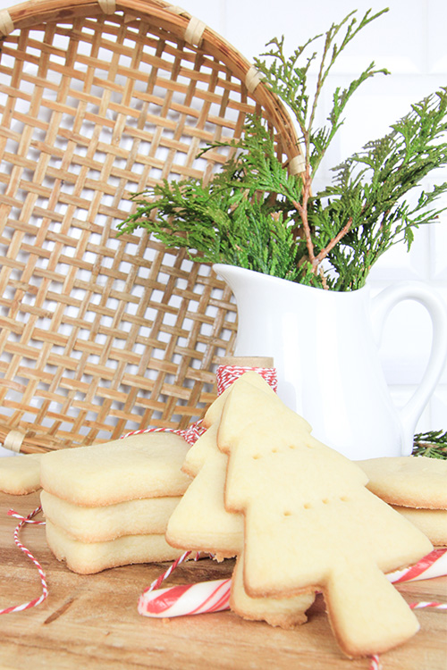 In my opinion, shortbread cookies are absolutely essential at Christmas time, even if you eat a plant-based diet! Try this recipe for plant-based shortbread cookies for your plant-eating friends and family, or just for yourself!