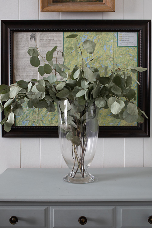 In today's post we'll talk about how to dry silver dollar eucalyptus so you can enjoy it in your home for as long as you like!