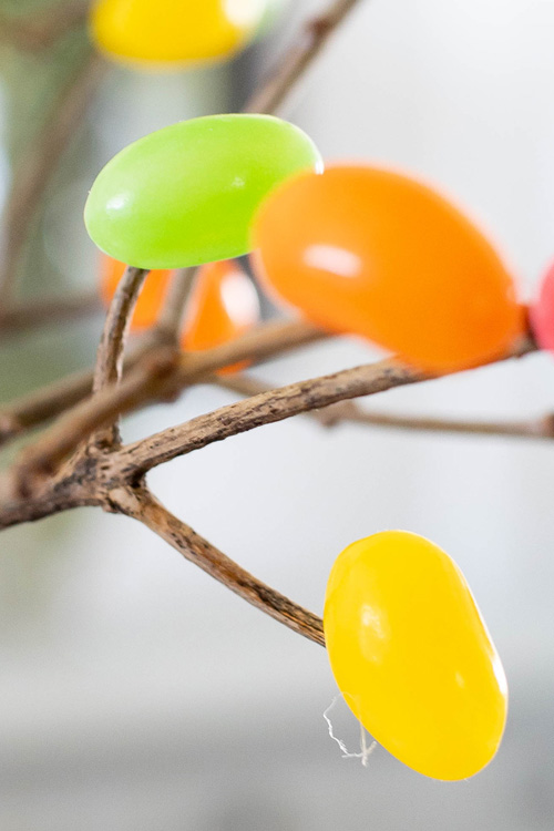 Try making these jelly bean branches for a fun addition to your Easter decor this year. They'll be loved by kids and grown-ups alike!