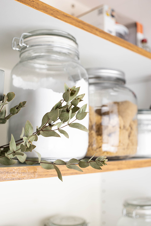 Our pantries are precious commodities right now and a well-stocked pantry can really make meal preparation easier and help you avoid unnecessary trips to the store. Here's how to protect them and keep pests out of the pantry.