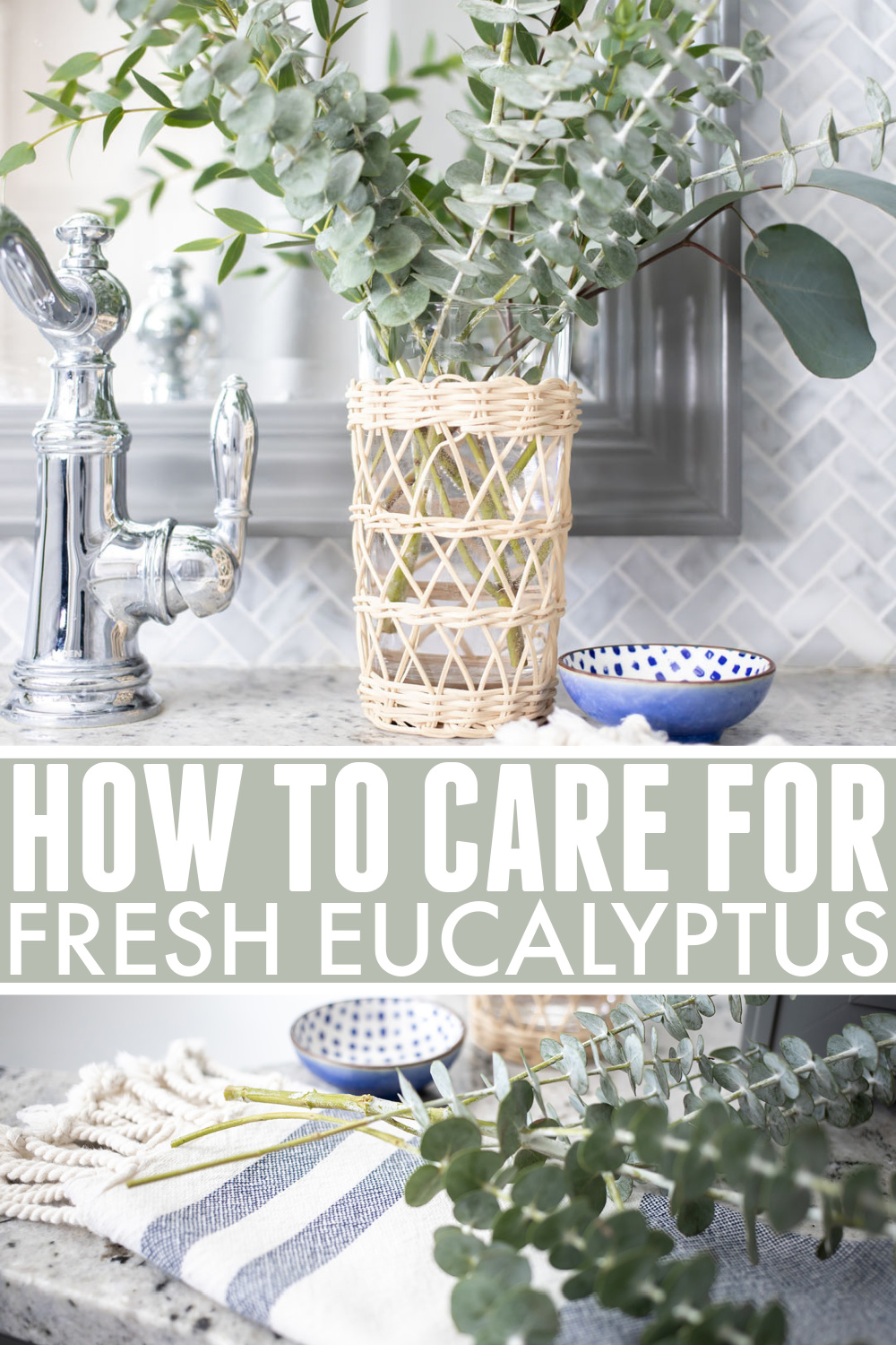 How to care for eucalyptus stems from the flower shop.
