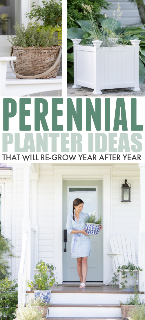 I love filling my planters every spring, but having to get rid of all those plants at the end of the season always makes me so sad. So here are some great perennial planters ideas that you can reuse year after year!