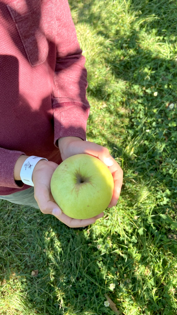 Five Things on a Friday - Apple Picking!