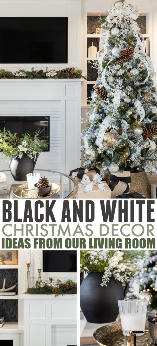 I loved last year's Christmas decor so much, so I kept much of it just the same, with a few slight variations here and there. Read on to see this year's black and white Christmas decor in our living room!