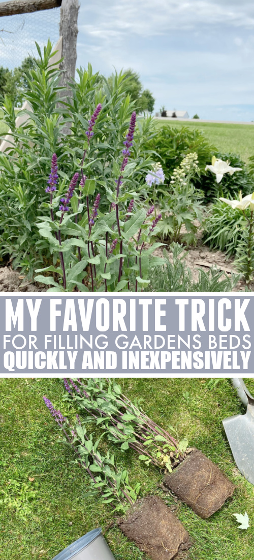 A reader taught me this trick a couple of years ago and it just blew my mind! Here's my favorite trick for filling garden beds quickly!