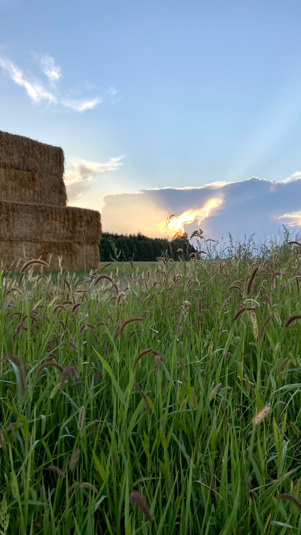 Five Things on Friday - September Straw Bales