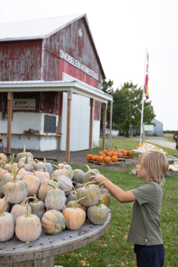 Five Things on a Friday - Pumpkin Farm