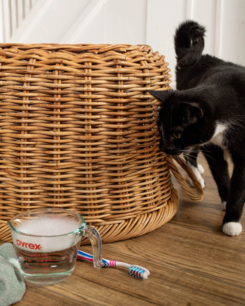 My 12 Favorite Spring Cleaning Tricks - The Creek Line House