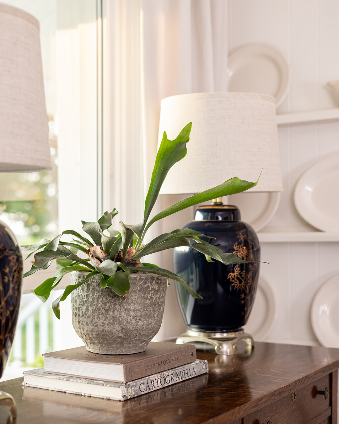 Navy blue chinoiserie lamps, plate wall, and staghorn fern.