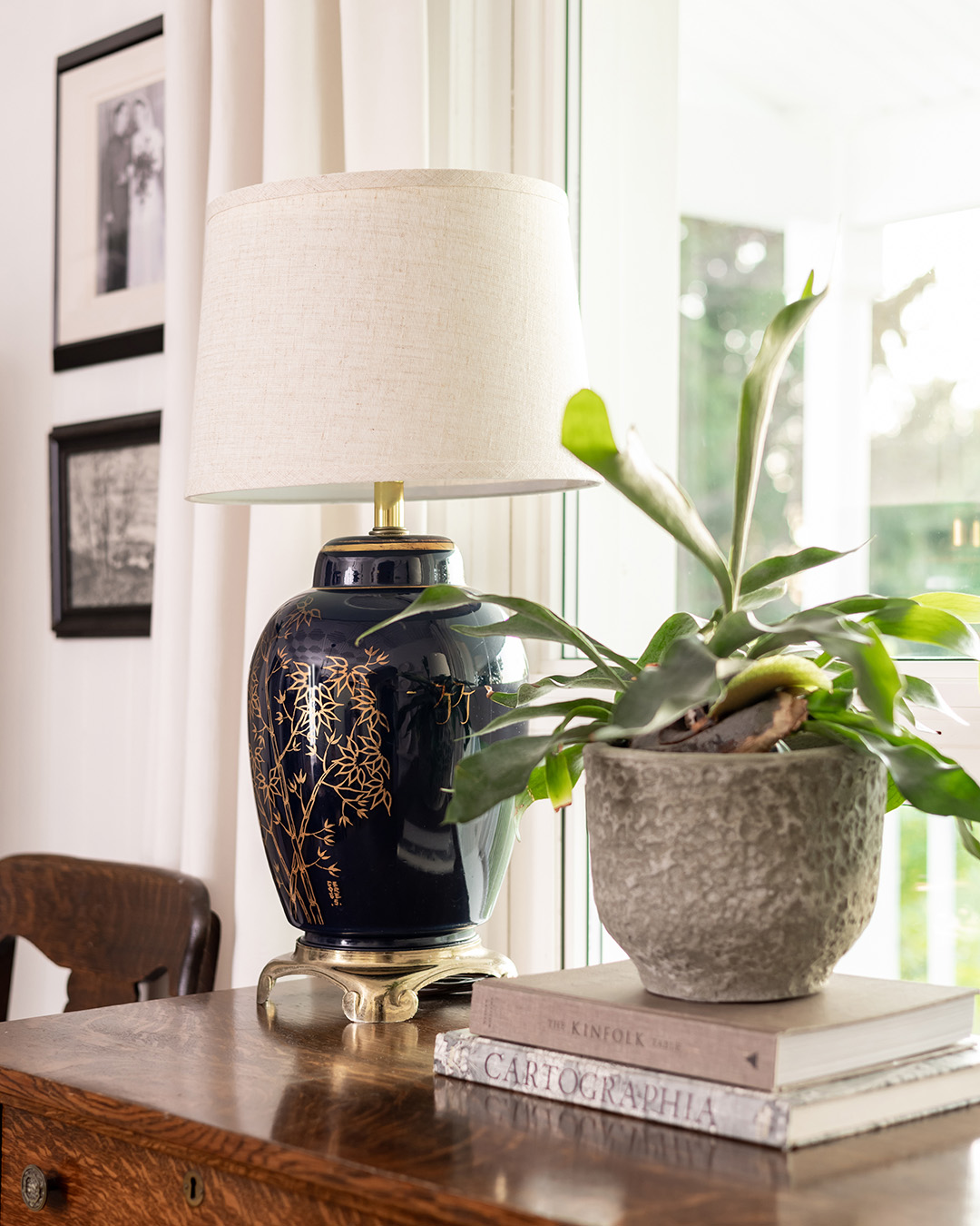 Navy blue chinoiserie lamp with staghorn fern.