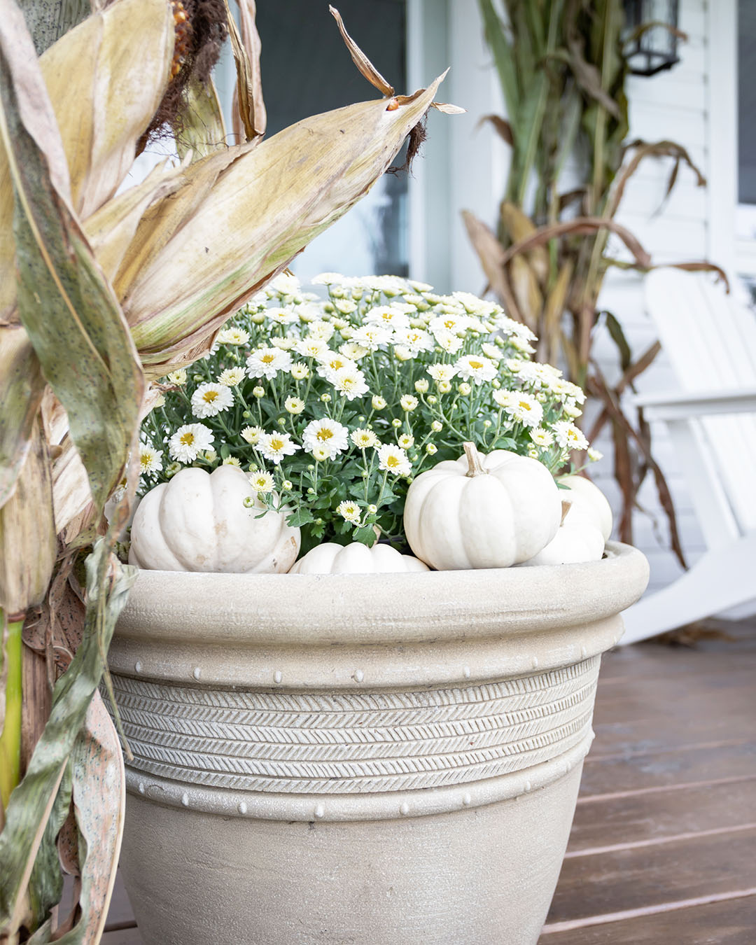 Large fall planter with white pumpkins and white mums
