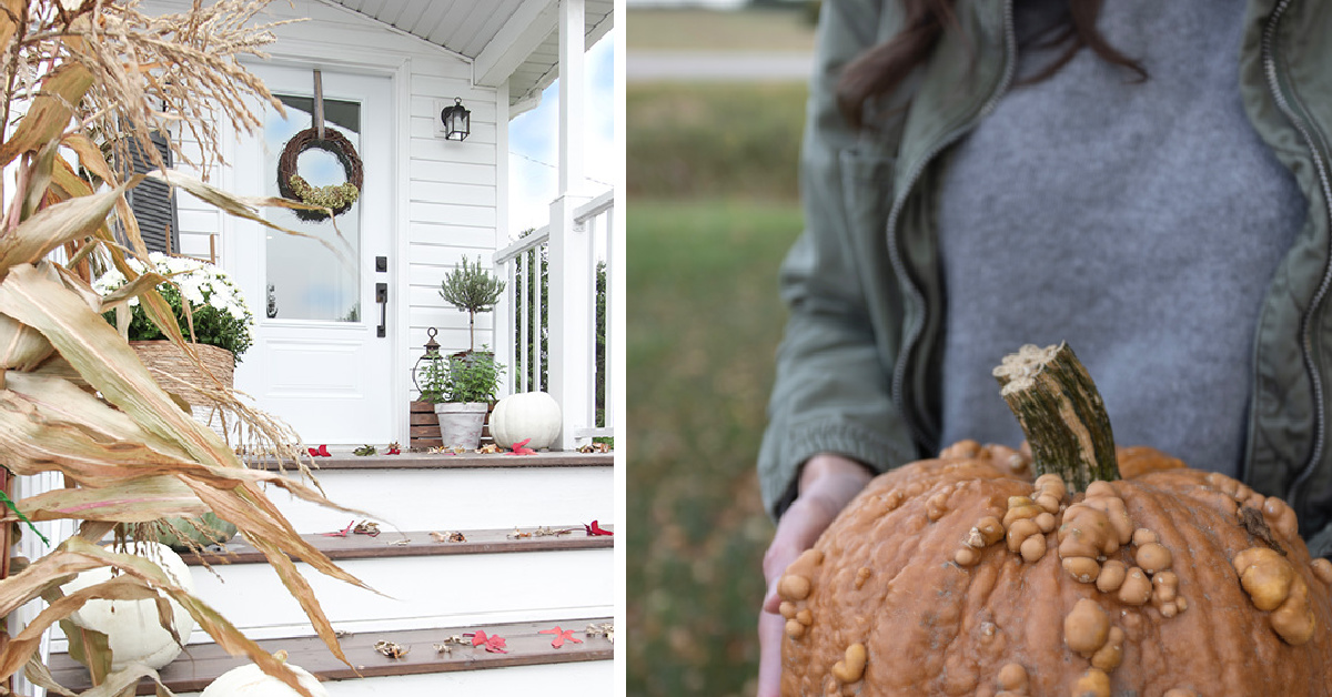 Ideas for celebrating autumn with classic fall decor choices.