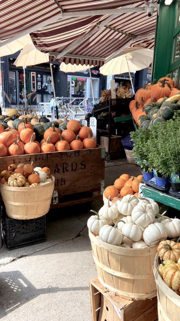 Five Things on a Friday - Kensington Market pumpkins