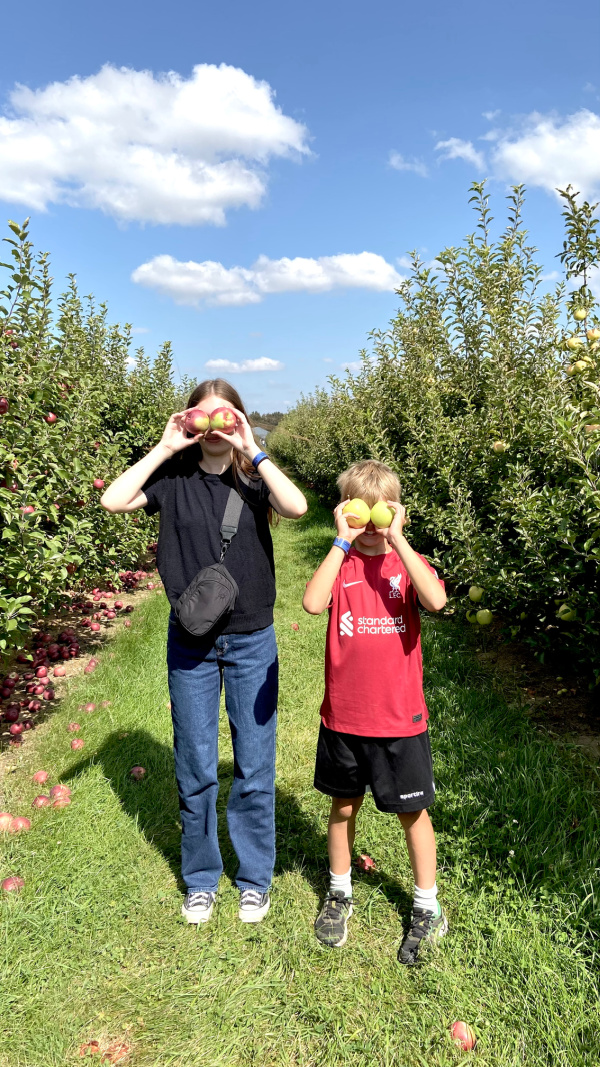 Five Things on a Friday - Apple Picking